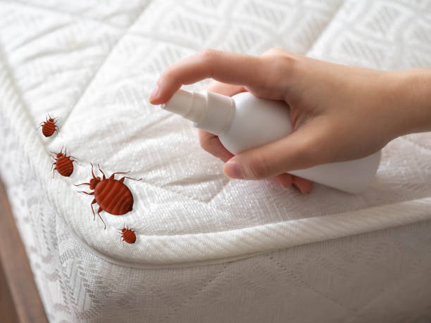 Best Pest Prevention Services  in Marion Oaks, FL